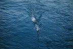 Croisière - Voile